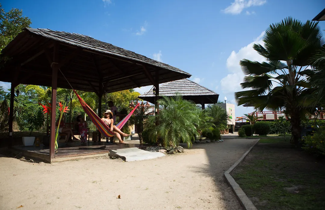 Eco Torarica-1